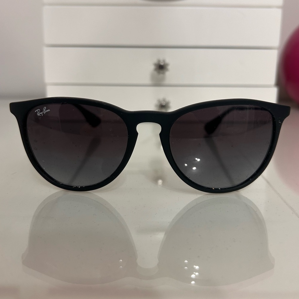 Ray-Ban Erika Sunglasses